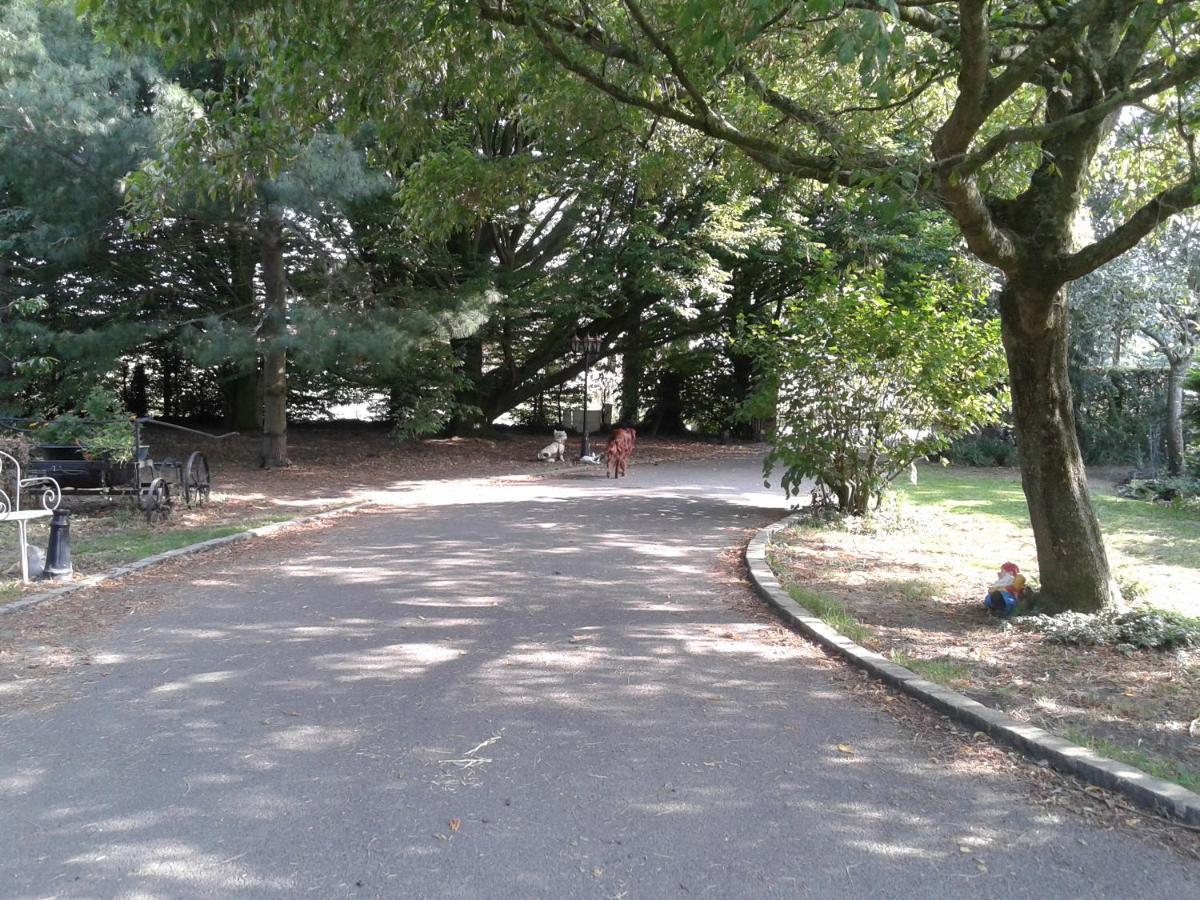 Chambre D'Hotes Elevage' Chemin Noir Verlinghem Εξωτερικό φωτογραφία